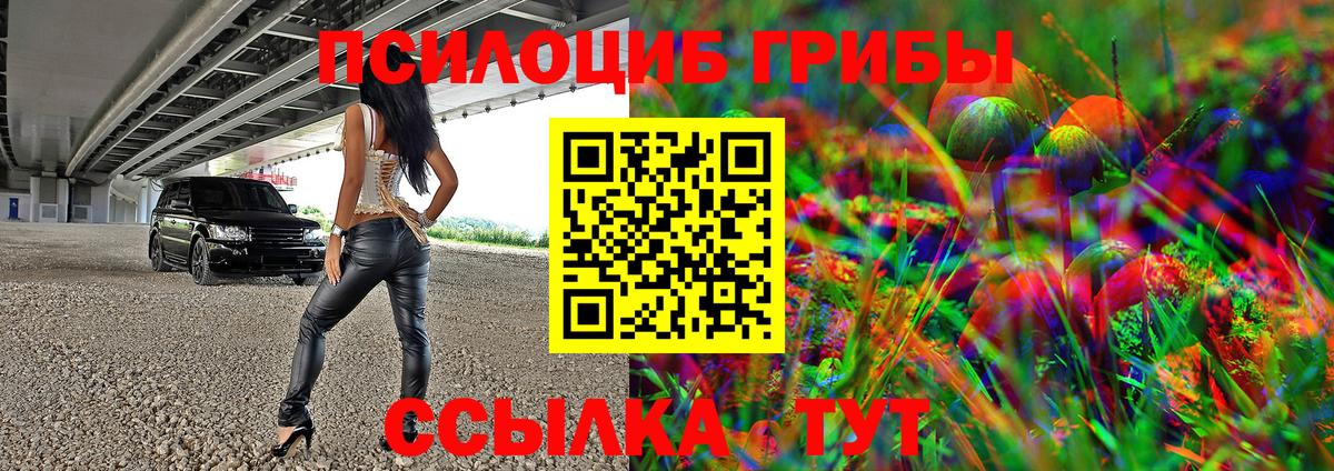 Псилоцибиновые грибы GOLDEN TEACHER  Галлюциногенные грибы Cubensis  Звенигород  Вход с VPN 