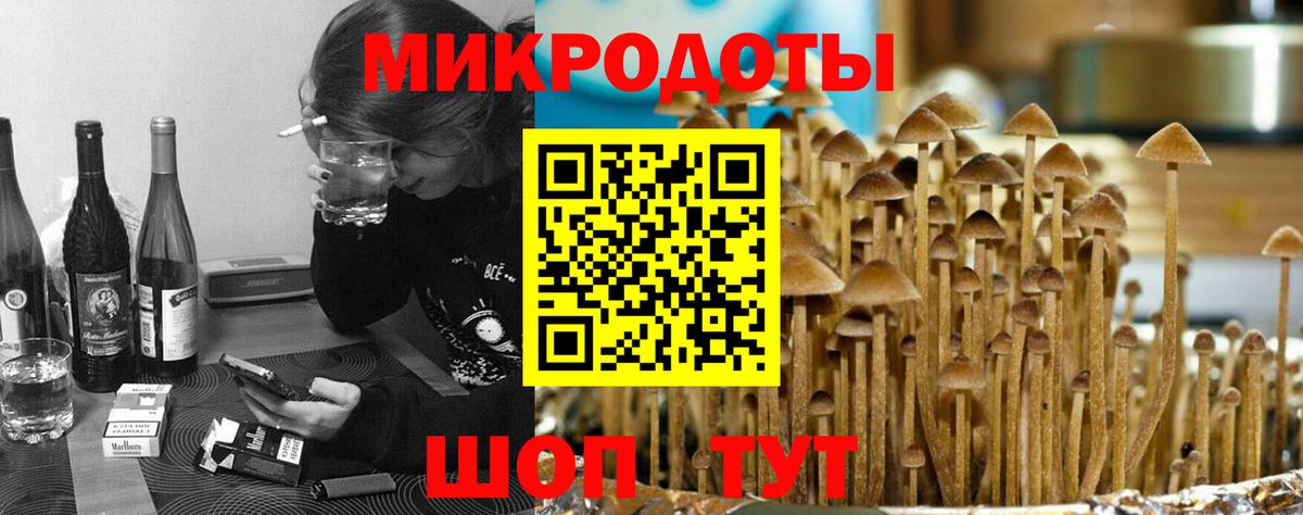 Галлюциногенные грибы Psilocybine cubensis Звенигород